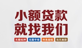 成都简阳市小额短借-成都简阳市私人借贷平台-成都简阳市个人借钱