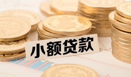 成都简阳市哪里有小额贷款-成都简阳市身份证贷款平台-成都简阳市民间短借